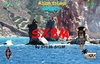 SX8M Image